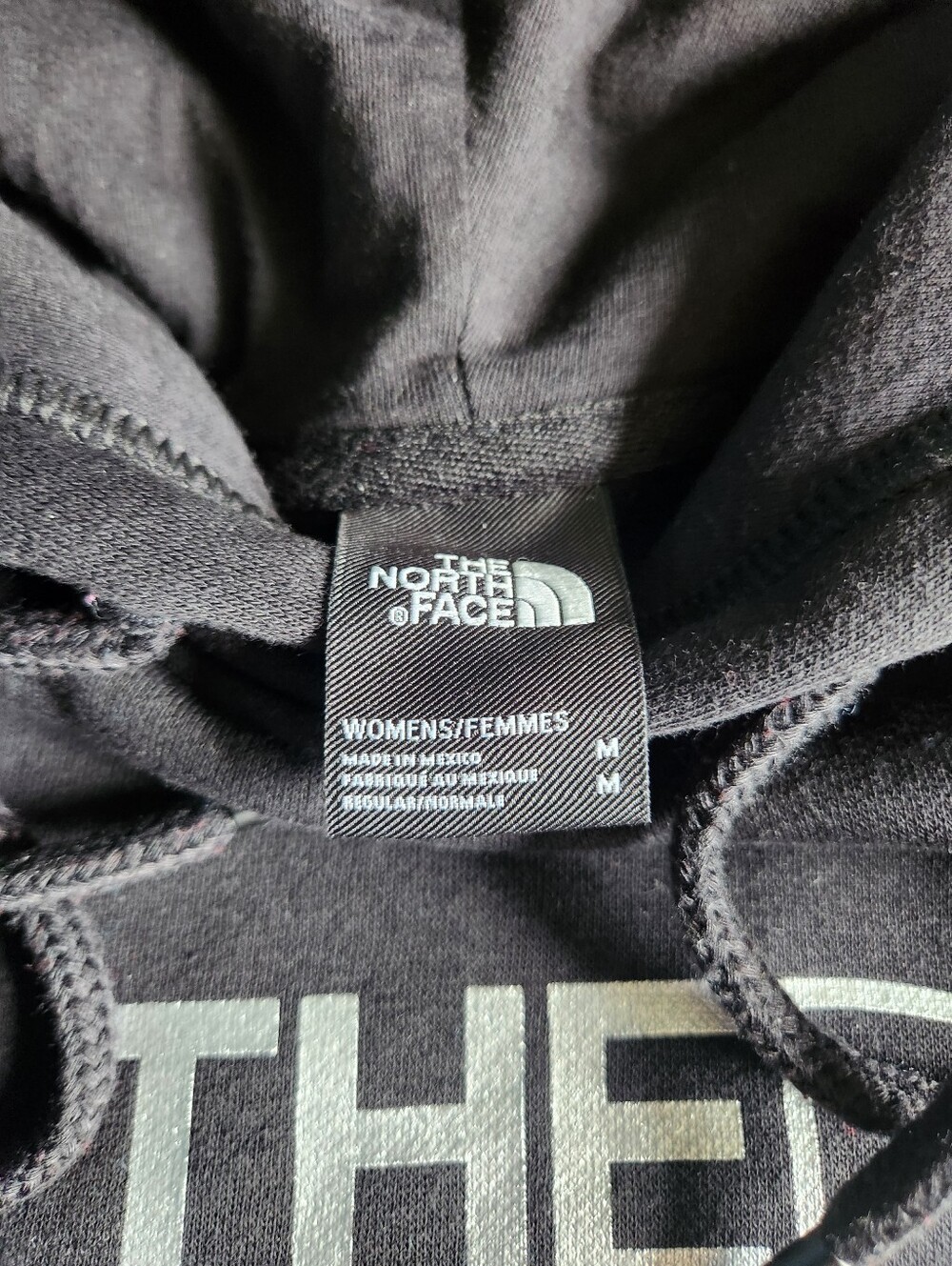 The North Face Dark Charcoal Graphic Pullover Hoodie - Picture 3 of 3